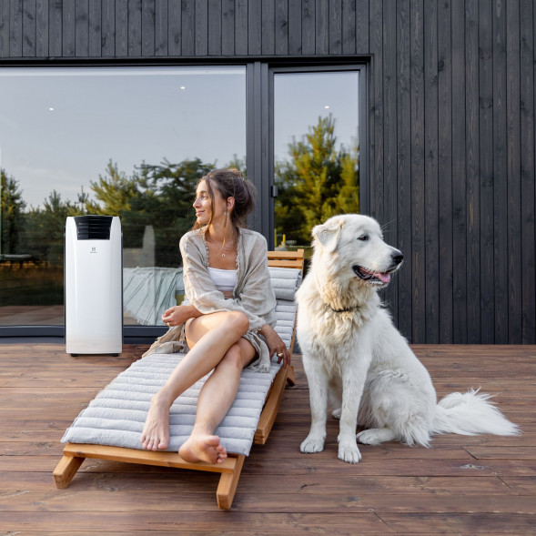 Мобильный кондиционер Electrolux EACM-12 RK/N6